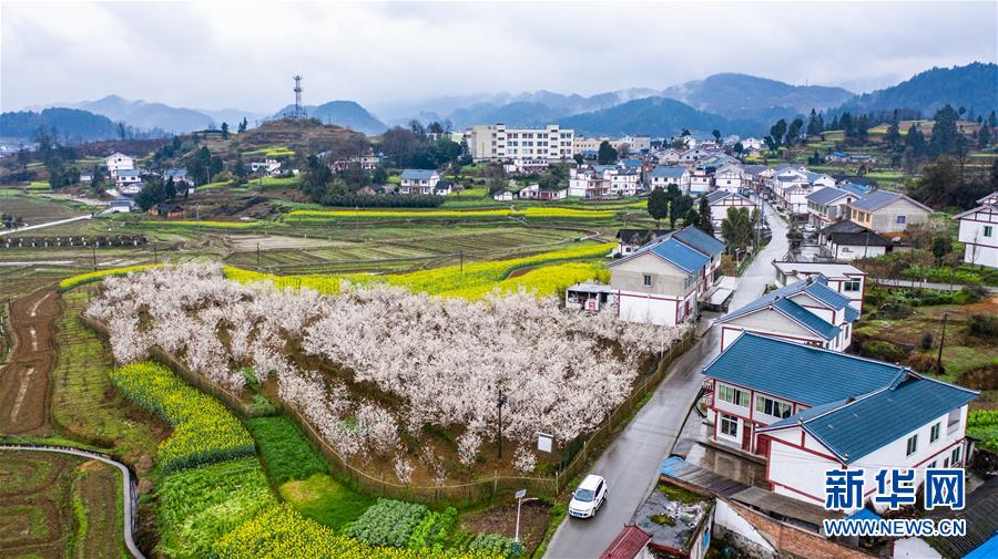 （新華全媒頭條&middot;小康圓夢(mèng)&middot;圖文互動(dòng)）（11）恢宏史詩(shī)耀千秋&mdash;&mdash;寫在中國(guó)共產(chǎn)黨帶領(lǐng)中國(guó)人民全面建成小康社會(huì)之際