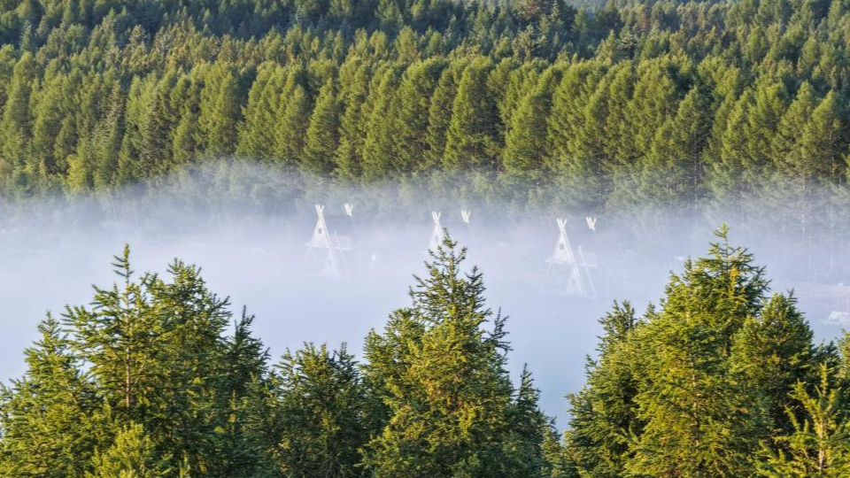 新華鮮報(bào) | 春已至！“植”綠山河