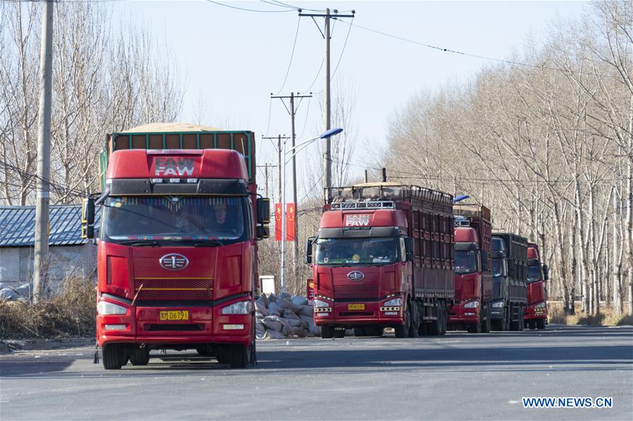 CHINA-HEILONGJIANG-HARBIN-AGRICULTURE-SOYBEAN-GRAIN PROCUREMENT (CN)