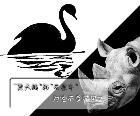 "黑天鵝"和"灰犀牛"為啥不受待見？