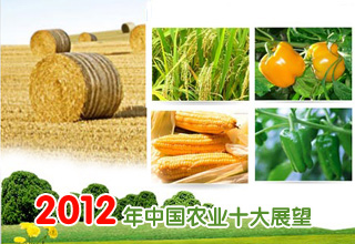 2012年中國農(nóng)業(yè)十大展望