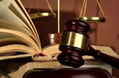 抓害群之馬，助金融改革一臂之力