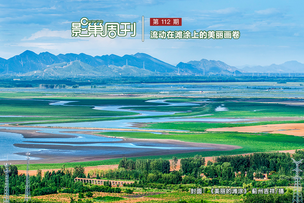 美麗的灘涂