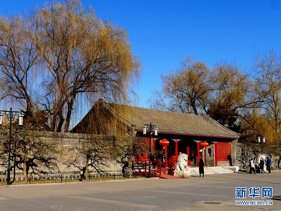 冬至，漫步大觀園