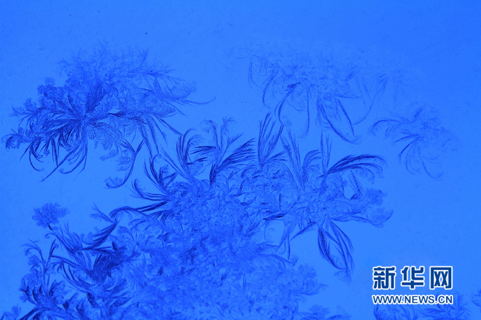 忽如一夜寒冬來(lái)，千家萬(wàn)戶窗花開