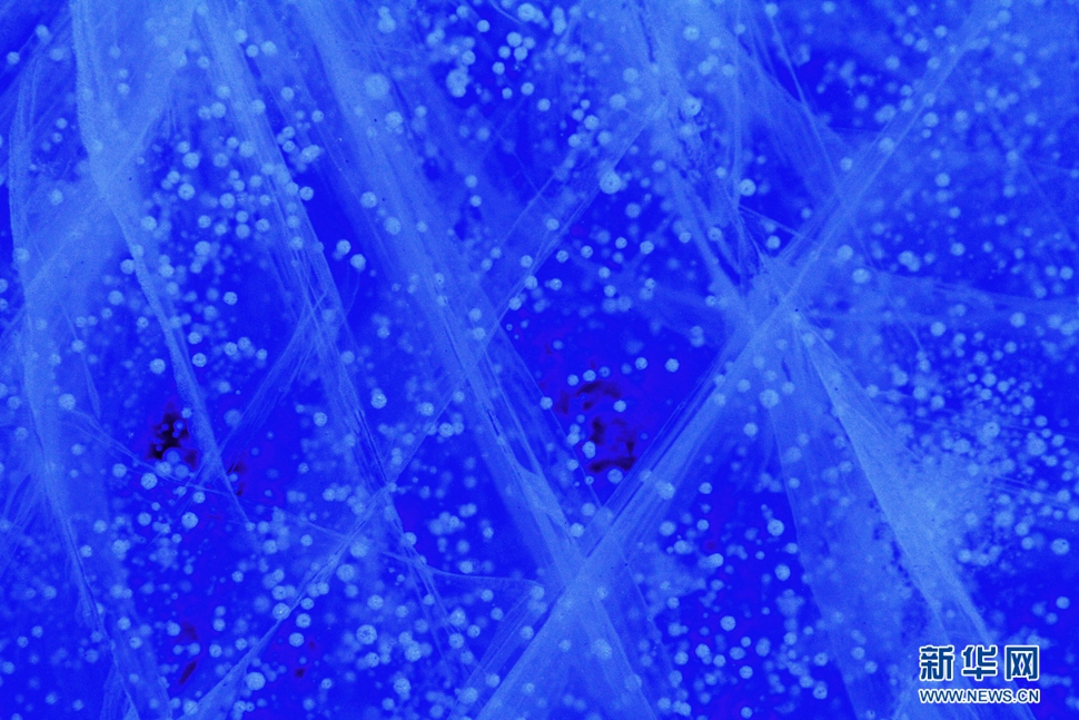 氣泡冰亮晶晶，藍(lán)精靈賽繁星