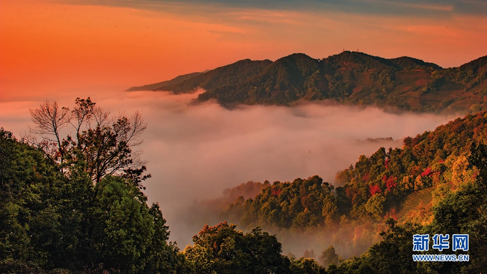 夕陽(yáng)
