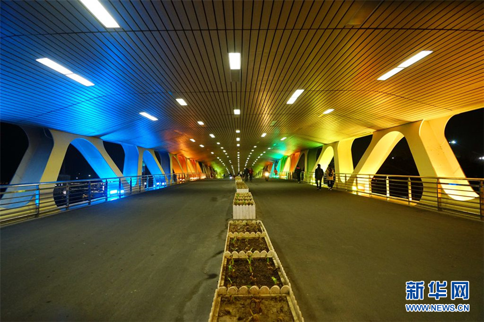 龍華港橋