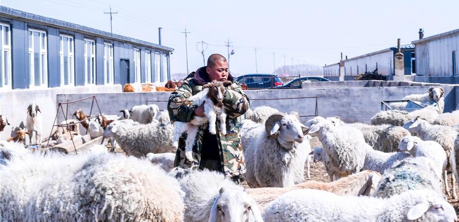 易地搬遷讓村民&ldquo;住得好、能致富&rdquo;