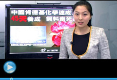 權(quán)威聲音：&ldquo;快時(shí)代&rdquo;究竟還有什么可以速成？