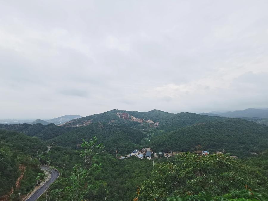 圍繞&ldquo;十四五&rdquo;規(guī)劃上海青年建言獻(xiàn)策 政府部門(mén)&ldquo;零時(shí)差&rdquo;回應(yīng)