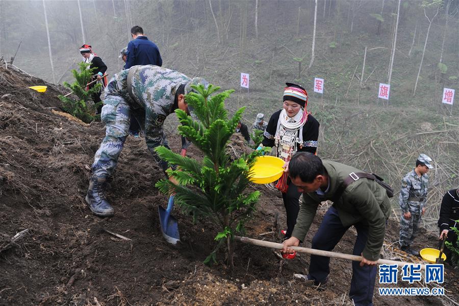 （圖文互動）（6）和平年代，離死神最近的人&mdash;&mdash;南部戰(zhàn)區(qū)陸軍云南掃雷大隊邊境掃雷排爆記事
