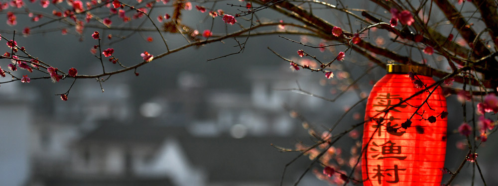 春來花開，綻放正當(dāng)時
