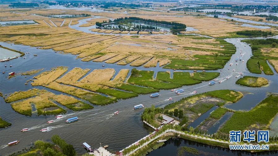 （壯闊東方潮 奮進(jìn)新時(shí)代&mdash;&mdash;慶祝改革開放40年）（11）美麗中華大地書寫綠色傳奇