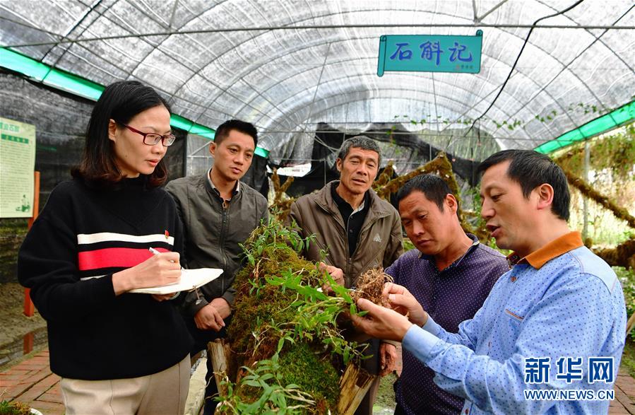 （新華全媒頭條&middot;圖文互動）（3）全面從嚴(yán)治黨啟新局&mdash;&mdash;寫在十九屆中央紀(jì)委三次全會召開之際 