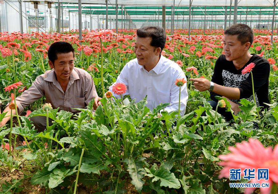 （新華全媒頭條&middot;愛國情 奮斗者&middot;圖文互動(dòng)）（8）致敬，為祖國獻(xiàn)身的英雄！