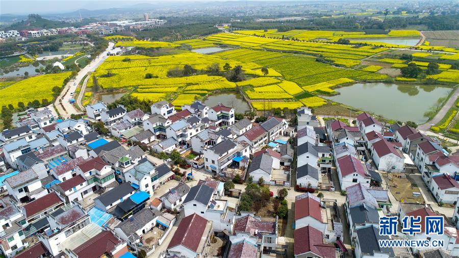（新華全媒頭條&middot;圖文互動(dòng)）（3）見證人間正道&mdash;&mdash;寫在南京解放70周年之際