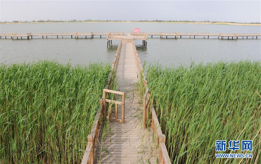 （北京世園會&middot;圖文互動）（5）&ldquo;百湖之鄉(xiāng)&rdquo;磴口縣再現(xiàn)生態(tài)田園風(fēng)光
