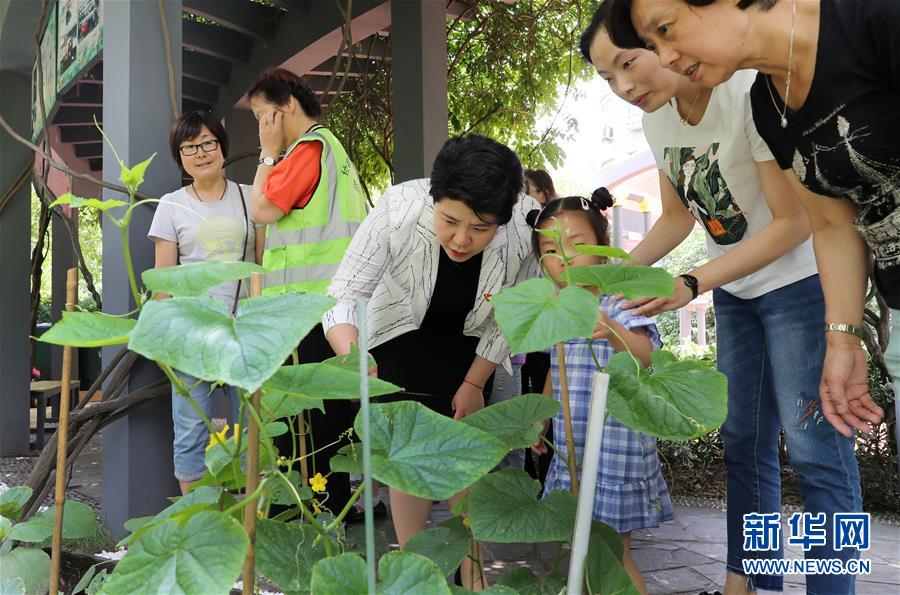（新華全媒頭條&middot;圖文互動(dòng)）（4）上海&ldquo;新時(shí)尚&rdquo;：用&ldquo;繡花功&rdquo;解垃圾分類&ldquo;大難題&rdquo;