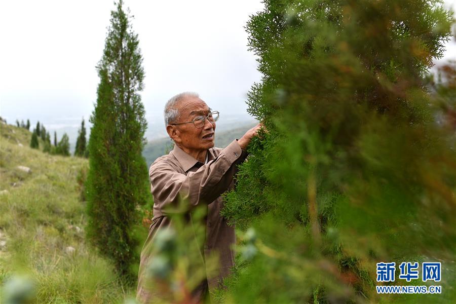 （在習近平新時代中國特色社會主義思想指引下&mdash;&mdash;新時代新作為新篇章&middot;圖文互動）（5）中條山下綠意濃&mdash;&mdash;一個&ldquo;資源窮縣&rdquo;的生態(tài)發(fā)展之路