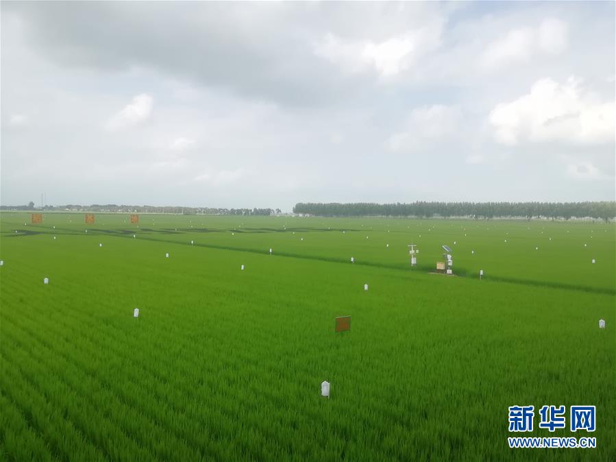 （在習(xí)近平新時代中國特色社會主義思想指引下&mdash;&mdash;新時代新作為新篇章&middot;圖文互動）（2）從&ldquo;靠天吃飯&rdquo;到&ldquo;看天管理&rdquo;&mdash;&mdash;黑龍江創(chuàng)新氣象為農(nóng)服務(wù)體系觀察