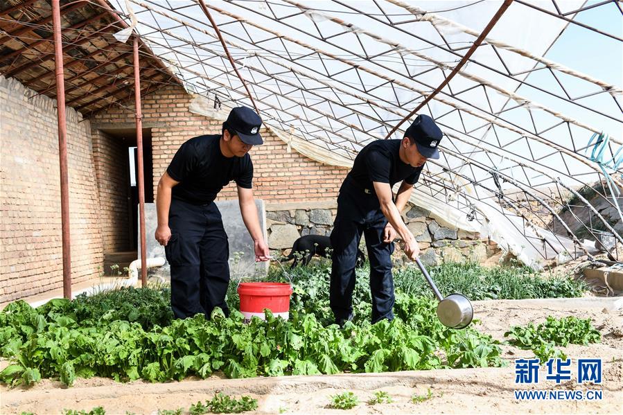 （愛(ài)國(guó)情 奮斗者&middot;圖文互動(dòng)）（5）印刻在戈壁上的名字