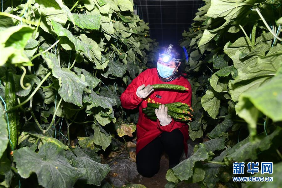 （在習近平新時代中國特色社會主義思想指引下&mdash;&mdash;新時代新作為新篇章&middot;習近平總書記關切事&middot;圖文互動）（3）&ldquo;菜籃子&rdquo;里的力量&mdash;&mdash;全國各地努力做好保障和改善民生工作在行動
