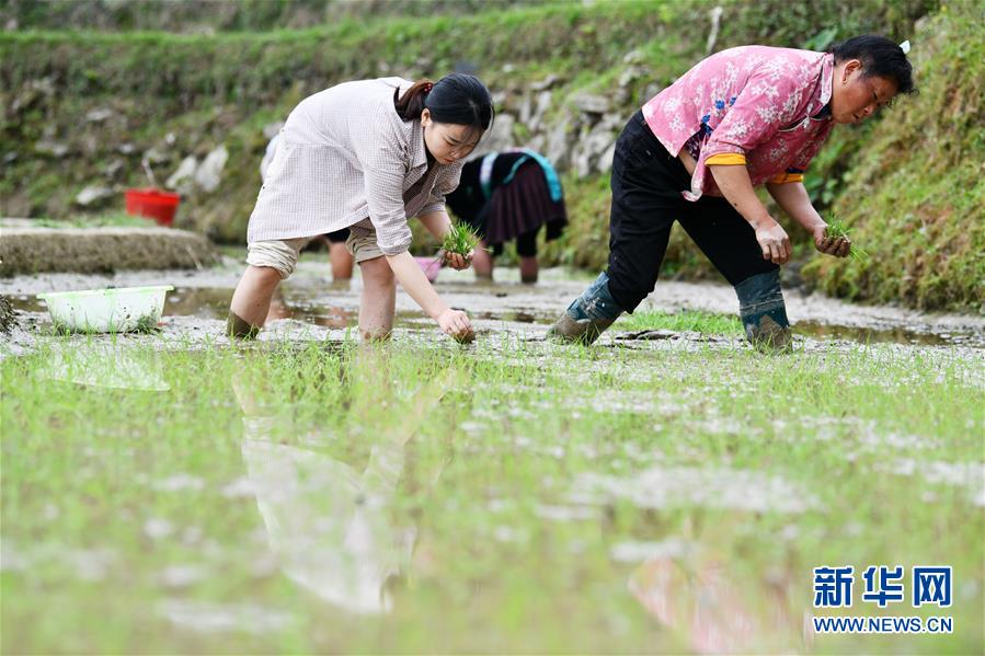 （決戰(zhàn)決勝脫貧攻堅(jiān)&middot;圖文互動(dòng)）（4）月亮山女孩與她的&ldquo;扶貧網(wǎng)格&rdquo;