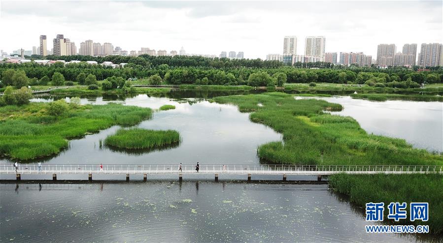 （走向我們的小康生活&middot;圖文互動）（1）水清、地綠、空氣新&mdash;&mdash;最北省份黑龍江繪就生態(tài)治理新畫卷