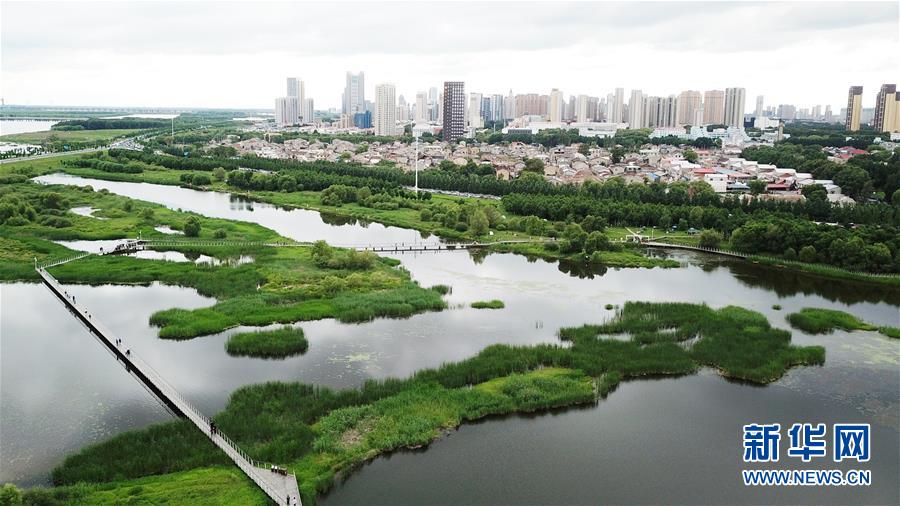 （走向我們的小康生活&middot;圖文互動）（2）水清、地綠、空氣新&mdash;&mdash;最北省份黑龍江繪就生態(tài)治理新畫卷