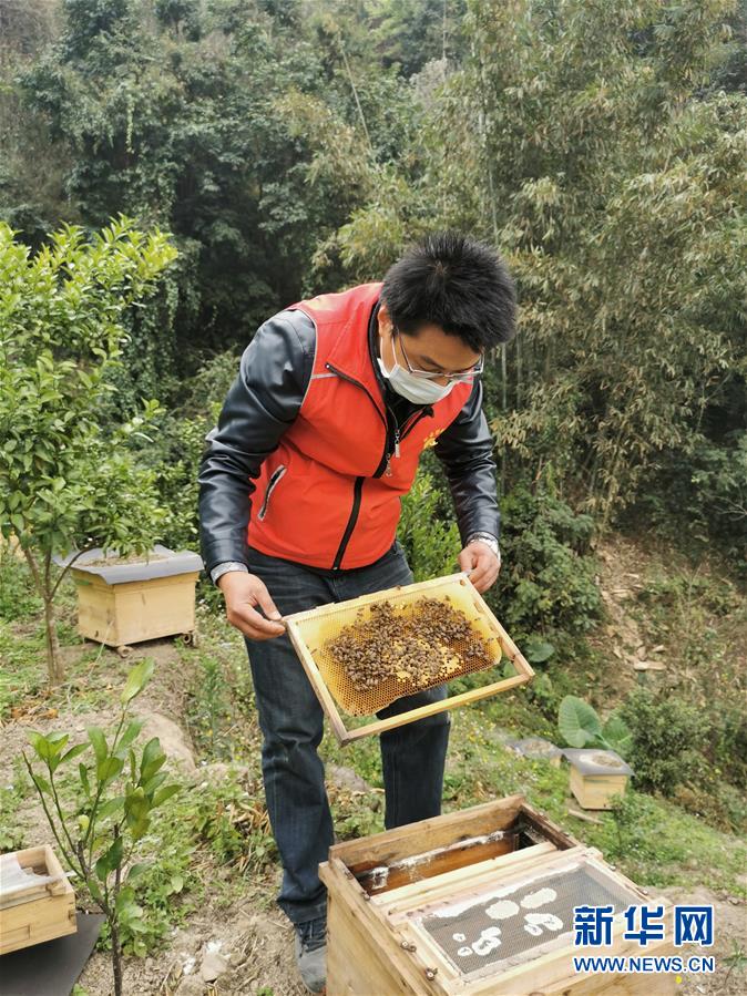 （新華全媒頭條&middot;圖文互動(dòng)）（3）初心赴使命 熱血寫(xiě)春秋&mdash;&mdash;記脫貧攻堅(jiān)中的共產(chǎn)黨員