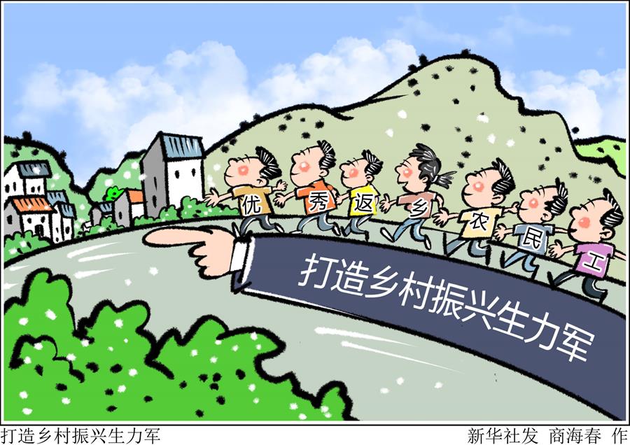（圖表&middot;漫畫）［新華時評&middot;走向我們的小康生活］打造鄉(xiāng)村振興生力軍