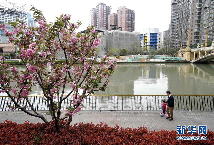 （新華全媒頭條&middot;走向我們的小康生活&middot;圖文互動(dòng)）（12）城市，讓人民生活更美好