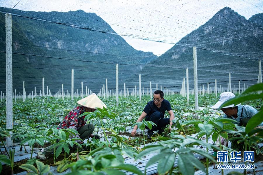 （新華全媒頭條&middot;決戰(zhàn)決勝脫貧攻堅&middot;督戰(zhàn)未摘帽貧困縣&middot;圖文互動）（10）把&ldquo;最能打的人&rdquo;放在最需要的地方&mdash;&mdash;聚焦貴州未脫貧縣里的&ldquo;助攻干部&rdquo;