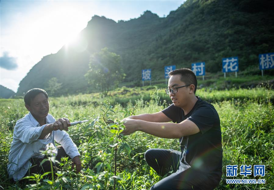 （新華全媒頭條&middot;決戰(zhàn)決勝脫貧攻堅&middot;督戰(zhàn)未摘帽貧困縣&middot;圖文互動）（12）把&ldquo;最能打的人&rdquo;放在最需要的地方&mdash;&mdash;聚焦貴州未脫貧縣里的&ldquo;助攻干部&rdquo;