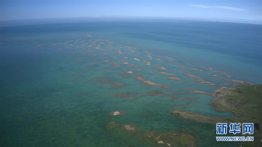 （新華全媒頭條&middot;圖文互動）（5）大湖見證 &mdash;&mdash;持續(xù)保護讓青海湖生態(tài)華麗&ldquo;蝶變&rdquo;