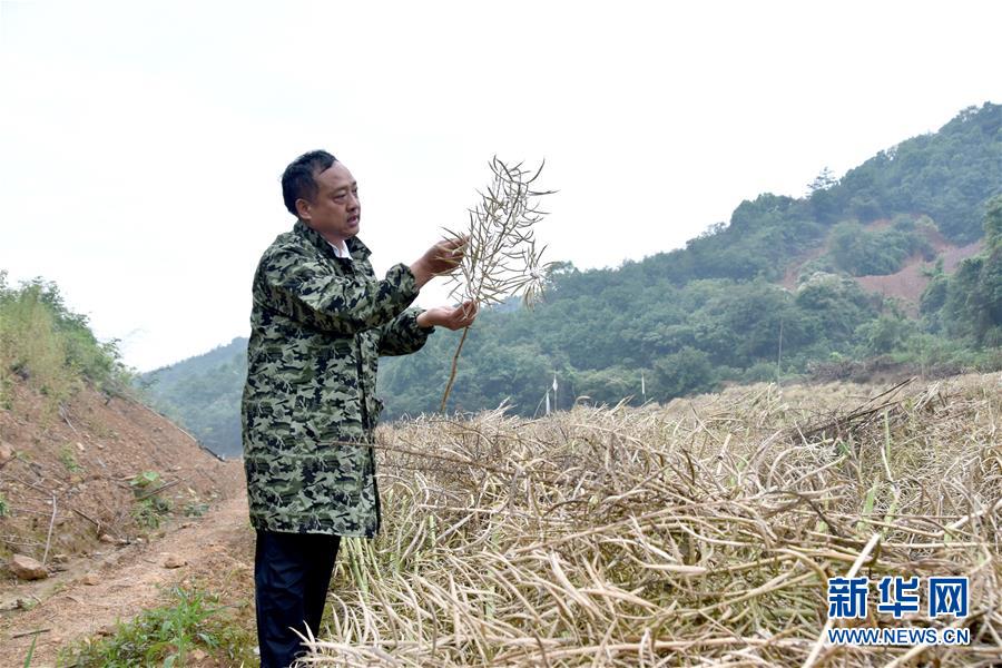 （代表委員履職&middot;圖文互動）（1）&ldquo;我是農(nóng)民代表，始終關(guān)注農(nóng)村&rdquo;&mdash;&mdash;全國人大代表沈昌健的履職故事