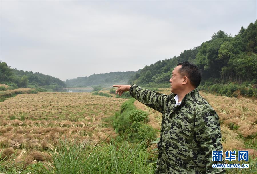 （代表委員履職&middot;圖文互動）（2）&ldquo;我是農(nóng)民代表，始終關(guān)注農(nóng)村&rdquo;&mdash;&mdash;全國人大代表沈昌健的履職故事