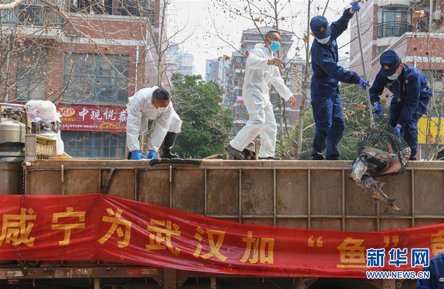 （新華全媒頭條&middot;圖文互動(dòng)）（12）從人民中汲取磅礴力量&mdash;&mdash;習(xí)近平總書(shū)記同出席2020年全國(guó)兩會(huì)人大代表、政協(xié)委員共商國(guó)是紀(jì)實(shí)