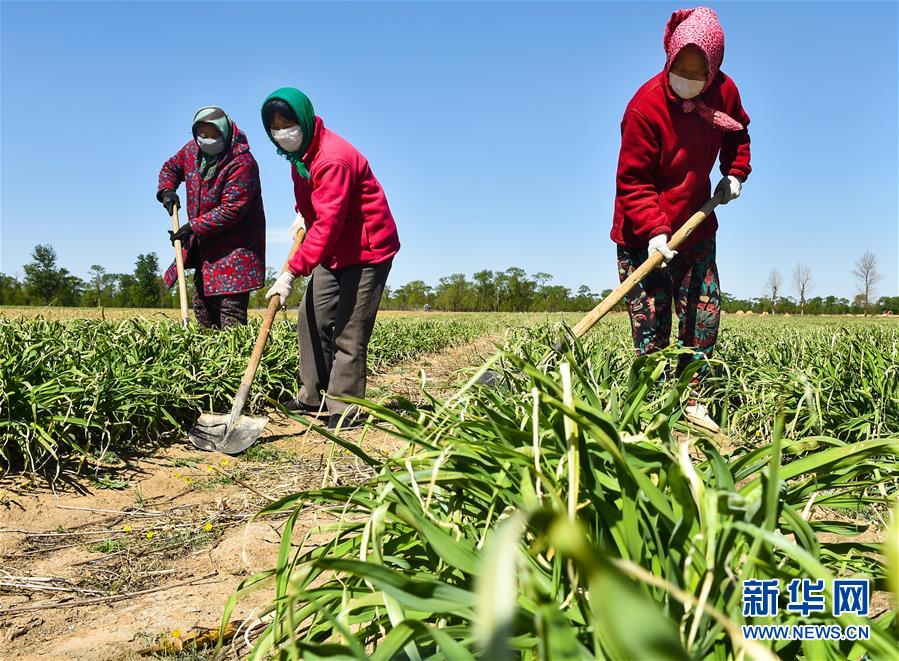 （新華全媒頭條&middot;圖文互動(dòng)）（17）從人民中汲取磅礴力量&mdash;&mdash;習(xí)近平總書(shū)記同出席2020年全國(guó)兩會(huì)人大代表、政協(xié)委員共商國(guó)是紀(jì)實(shí)