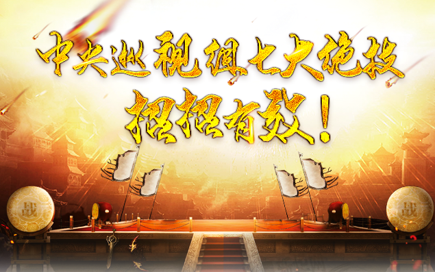 中央巡視組七大絕技，招招有效！