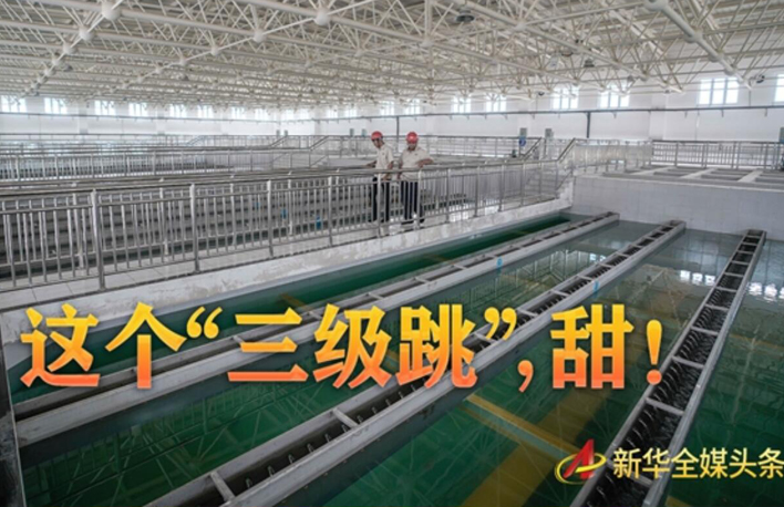 這個(gè)&ldquo;三級(jí)跳&rdquo;，甜！