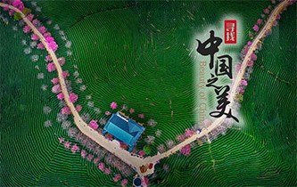 江山如畫，想把春的故事講給你聽