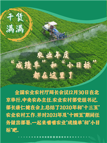 干貨滿滿！農業(yè)年度&ldquo;成績單&rdquo;和&ldquo;小目標&rdquo;都在這里了