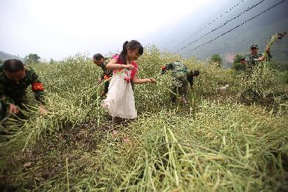 地震災(zāi)區(qū)&ldquo;雙搶&rdquo;忙 軍民協(xié)力促生產(chǎn)