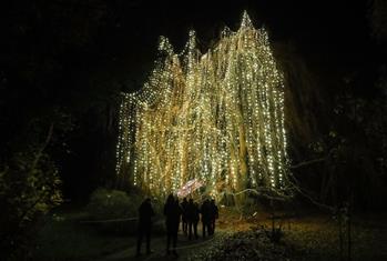 &ldquo;柏林圣誕花園&rdquo;燈光秀開(kāi)幕