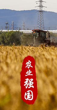 農(nóng)業(yè)強國是社會主義現(xiàn)代化強國的根基。