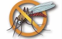 夏季，常見蚊蟲如何應(yīng)對