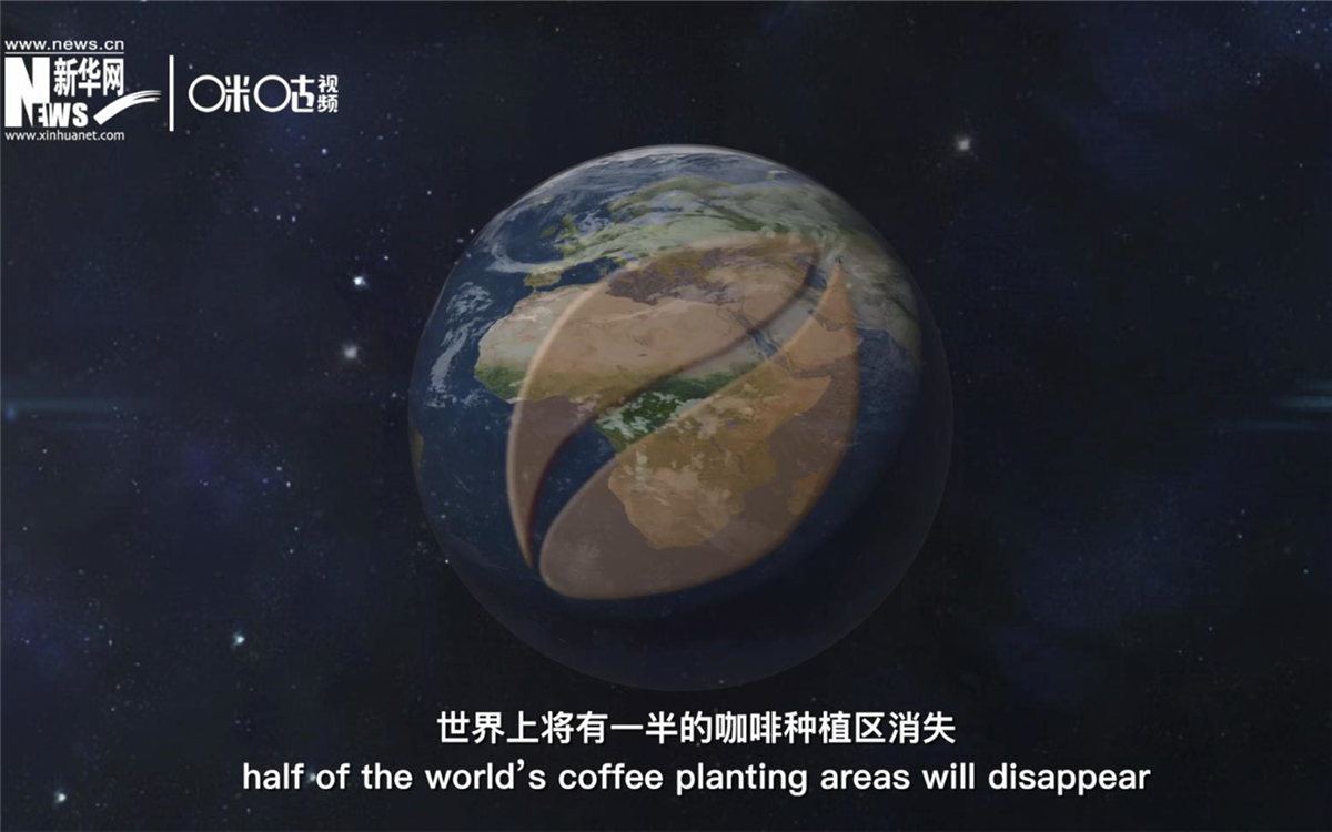 科學(xué)家預(yù)測到三十年后，世界上將有一半的咖啡種植區(qū)消失