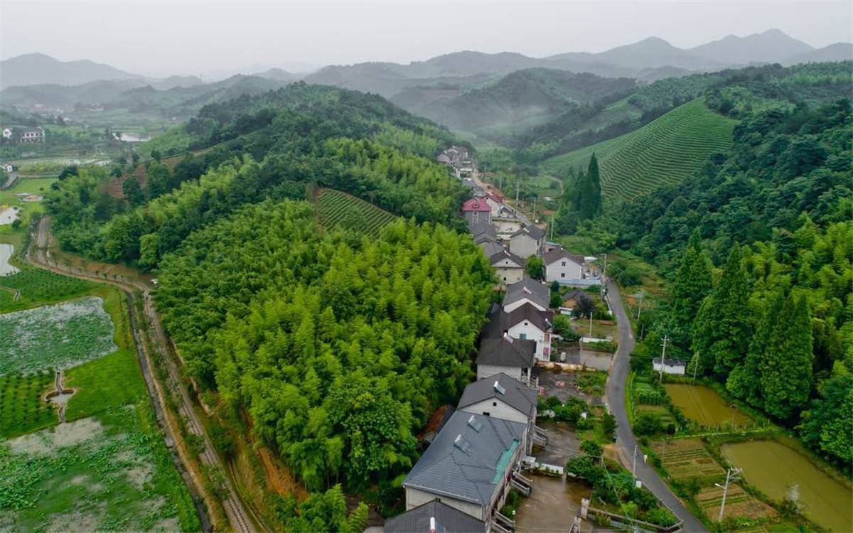 從2003年起，浙江省開(kāi)展了&ldquo;千村示范、萬(wàn)村整治&rdquo;工程